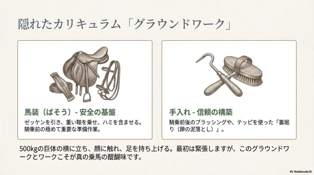 グラウンドワークで使用する鞍や頭絡などの馬具とブラッシング・裏堀り道具