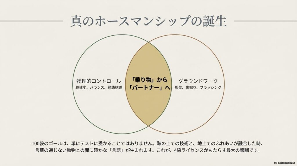 物理的コントロールとグラウンドワークが融合し馬がパートナーになるベン図