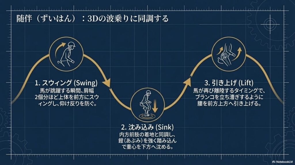 駆け足の随伴メカニズム:馬の3Dの波乗りに同調するスウィング、沈み込み、引き上げの3ステップ