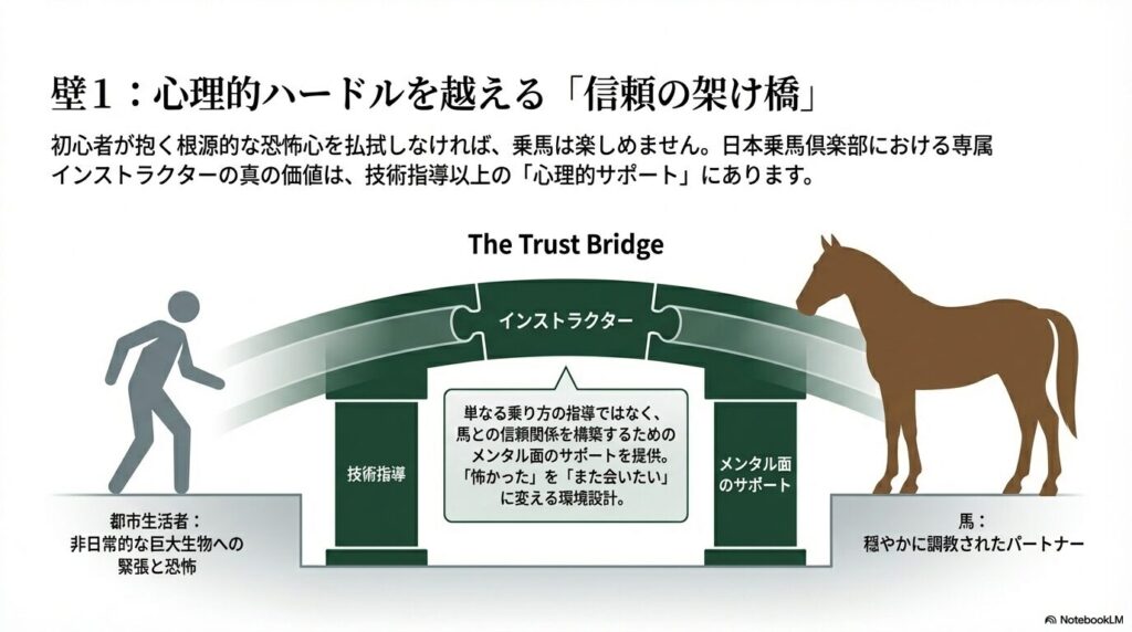 日本乗馬倶楽部の専属インストラクターによるメンタルサポートと馬との信頼構築図