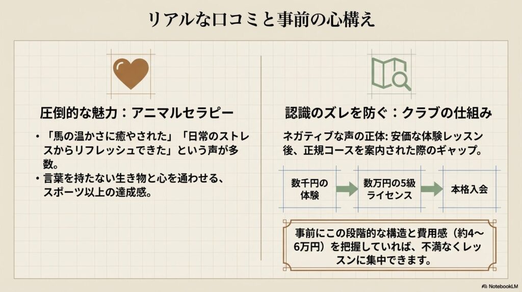 馬の癒やし効果と、体験レッスンから正規コースへの費用感のギャップ