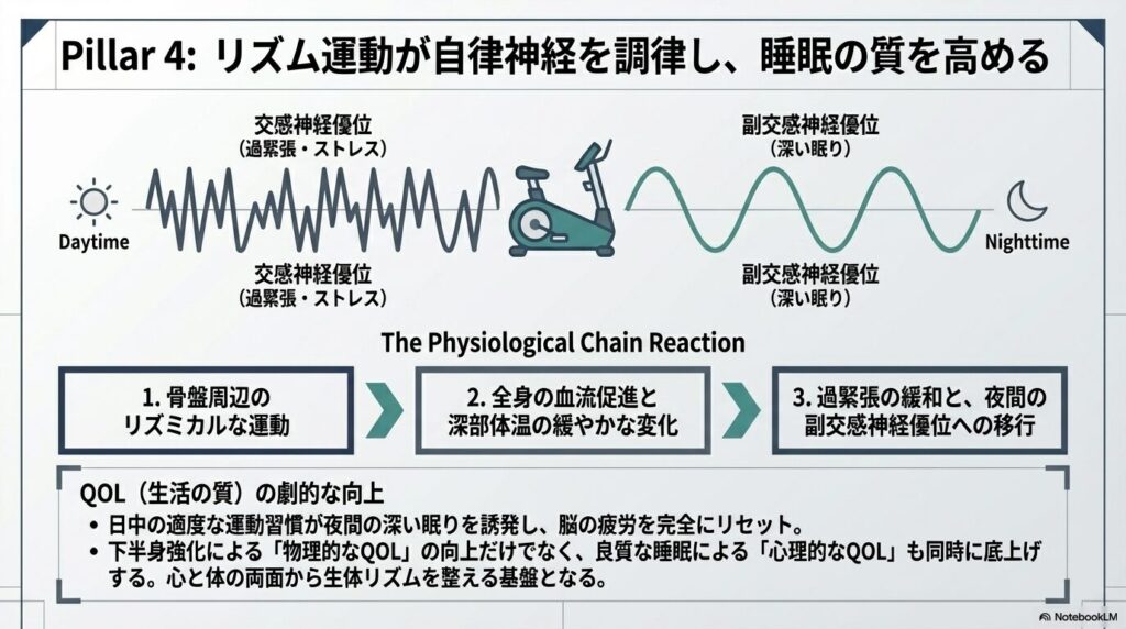 リズム運動による深部体温の変化と、副交感神経優位への移行を示すバイオリズムの図 