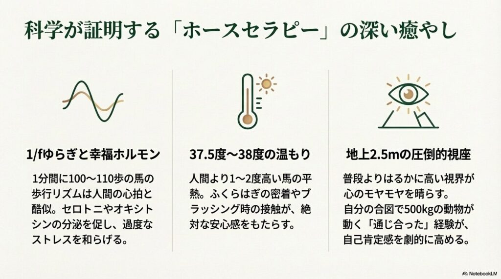 ホースセラピーの癒やし効果（1/fゆらぎ、体温、高い視座）を表すアイコン