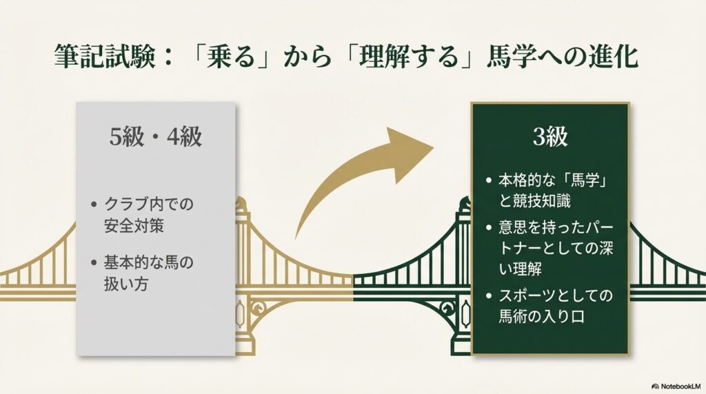 乗馬ライセンス5級・4級の安全対策から、3級の本格的な馬学への進化を比較したイメージ