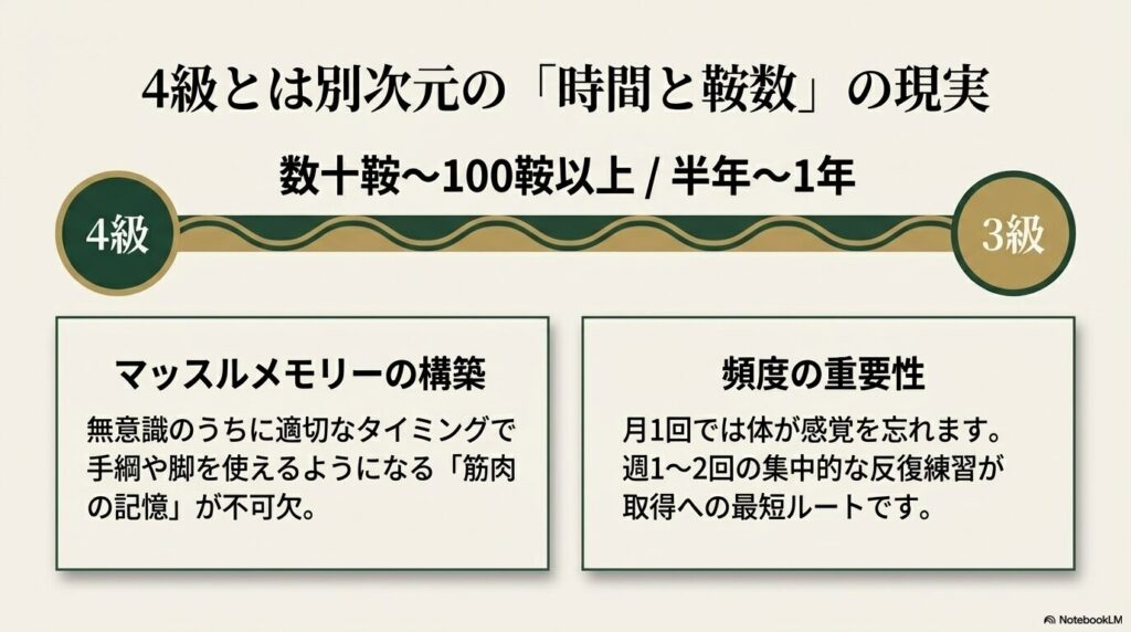 乗馬ライセンス3級取得に必要な数十鞍以上の期間と、マッスルメモリー構築の重要性を示す図解