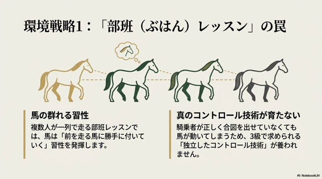 複数人で走る乗馬の部班レッスンにおける、前へ付いていく馬の群れる習性と真のコントロール技術の限界