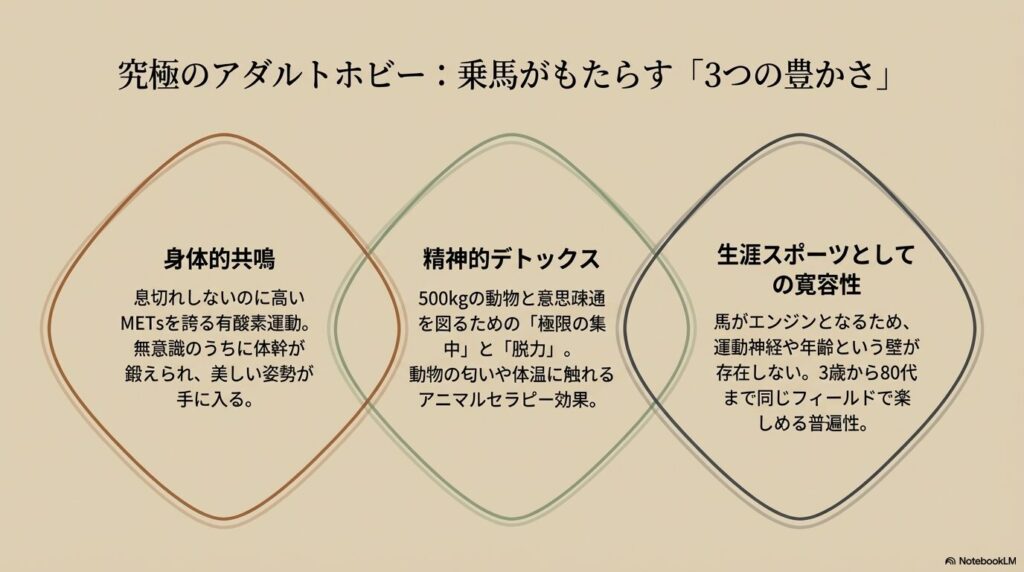 乗馬がもたらす3つの豊かさ（身体的共鳴、精神的デトックス、生涯スポーツとしての寛容性）