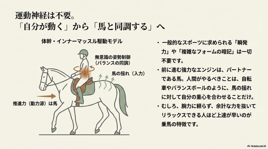 乗馬における無意識の姿勢制御と馬の揺れへの同調を示す図解