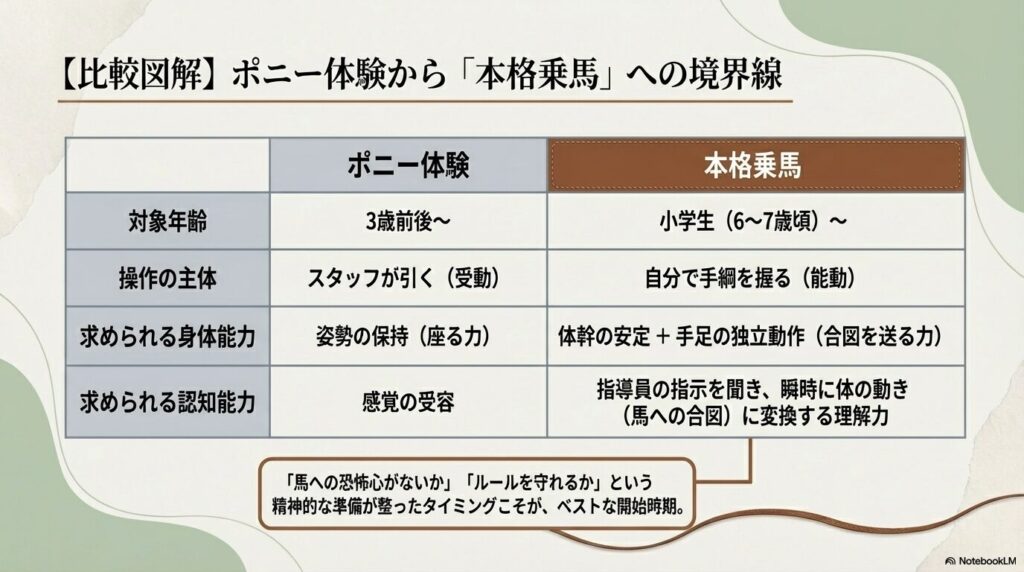 ポニーの引き馬体験と本格的な乗馬レッスンの対象年齢や求められる身体能力・認知能力の比較表