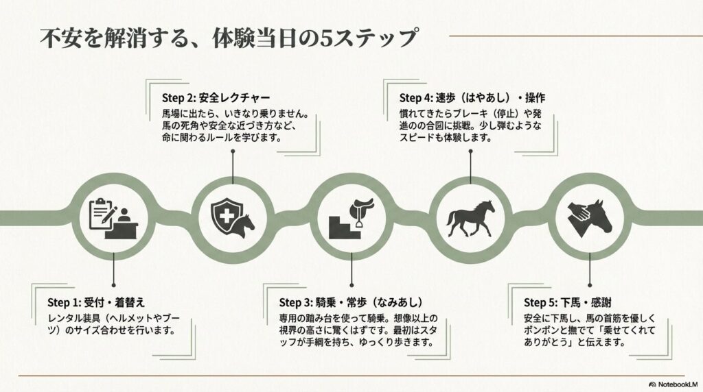 受付から安全レクチャー、騎乗、速歩、下馬までの体験当日5ステップの流れ