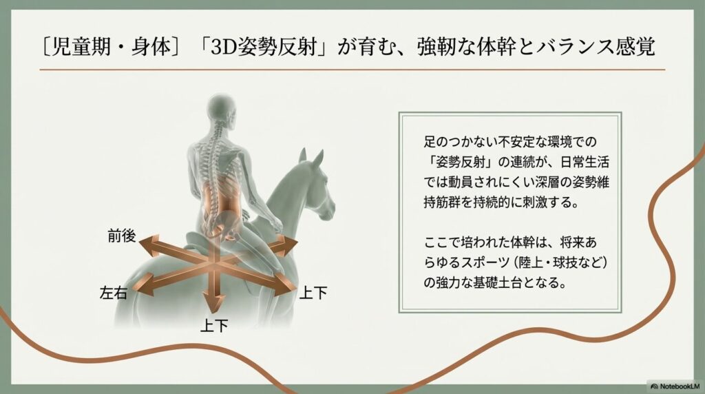 馬の前後・左右・上下のリズミカルな揺れが子供の体幹とバランス感覚を鍛える3D姿勢反射のメカニズム図