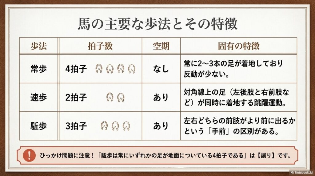 馬の主要な歩法である常歩、速歩、駈歩の拍子数と空期の有無を比較した表