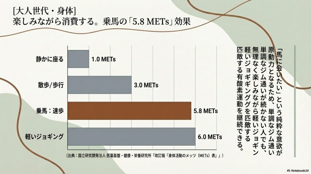 軽いジョギングに近い5.8メッツの運動強度がある乗馬の速歩と、他の身体活動のエネルギー消費量の比較グラフ