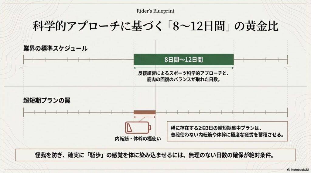 乗馬合宿における8日間から12日間の標準スケジュールと2泊3日の超短期プランの筋肉疲労度を示す比較図