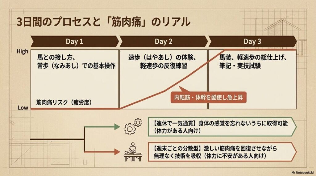 乗馬ライセンス5級取得の3日間スケジュールと筋肉痛や疲労度の推移を示すグラフ