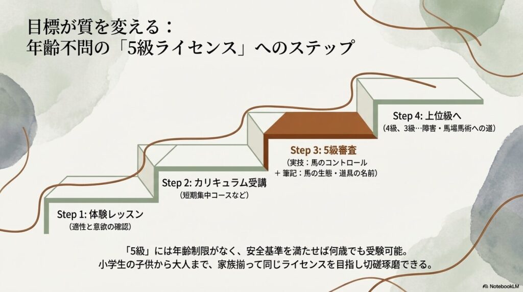 年齢制限がなく何歳からでも挑戦できる5級乗馬ライセンス取得までの4つのステップと目標設定の図