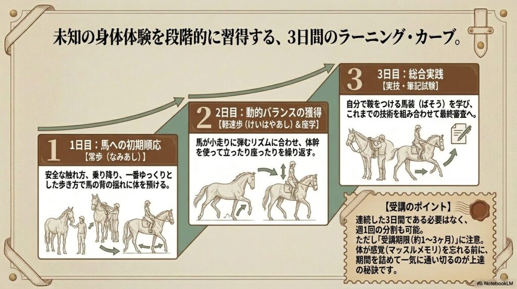 乗馬ライセンス5級を段階的に習得する3日間のラーニング・カーブと馬装の様子