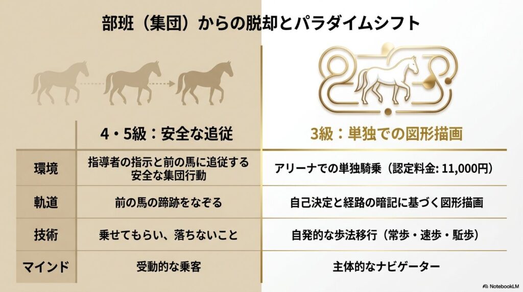 乗馬4級・5級と3級の難易度や求められる技術の比較表