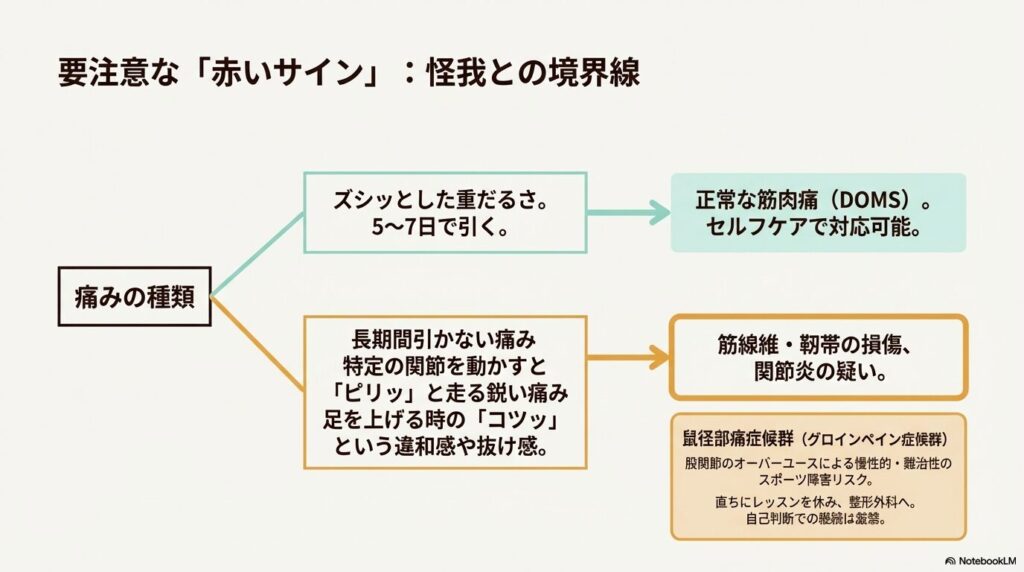正常な乗馬の筋肉痛と鼠径部痛症候群など怪我の疑いがある要注意な痛みの違いを分類したフローチャート