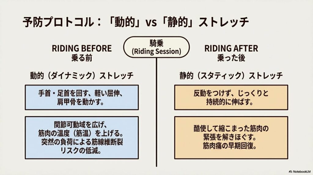 乗馬前の動的ストレッチと乗馬後の静的ストレッチの目的の違いを比較した図表