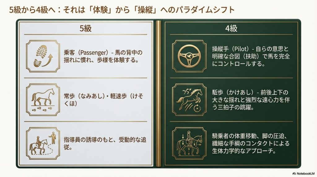 乗馬ライセンス5級と4級の違いを比較した図解。受動的な体験から主体的な操縦へのシフト。