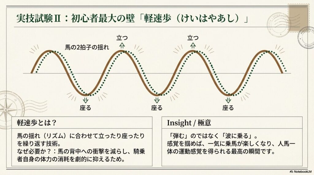 乗馬ライセンス5級の実技試験の壁となる軽速歩のメカニズム（馬の2拍子の揺れに合わせて立つ・座る動作）
