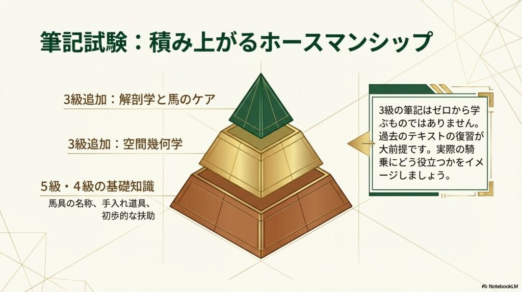 5級や4級の基礎知識の上に解剖学や空間幾何学が積み上がる乗馬ライセンス3級の筆記試験範囲
