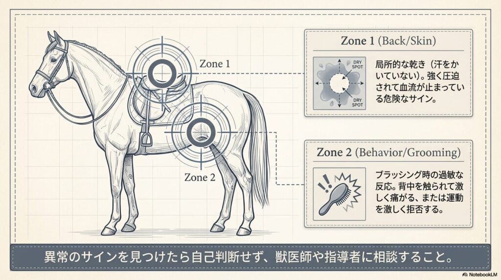 鞍が合っていない馬が示す局所的な乾き（ドライスポット）と異常のサイン